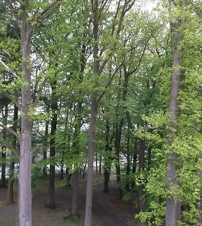 Gutsschänke Holsterfeld Salzbergen