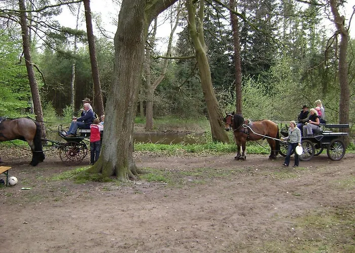 Гостевой дом Gutsschaenke Holsterfeld Зальцберген