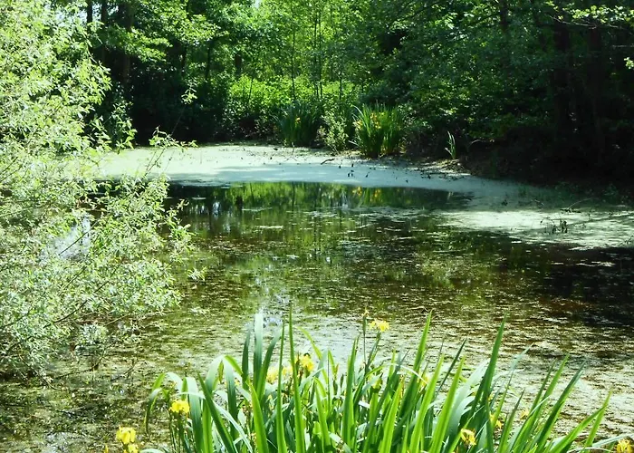 Гостевой дом Gutsschaenke Holsterfeld 3*